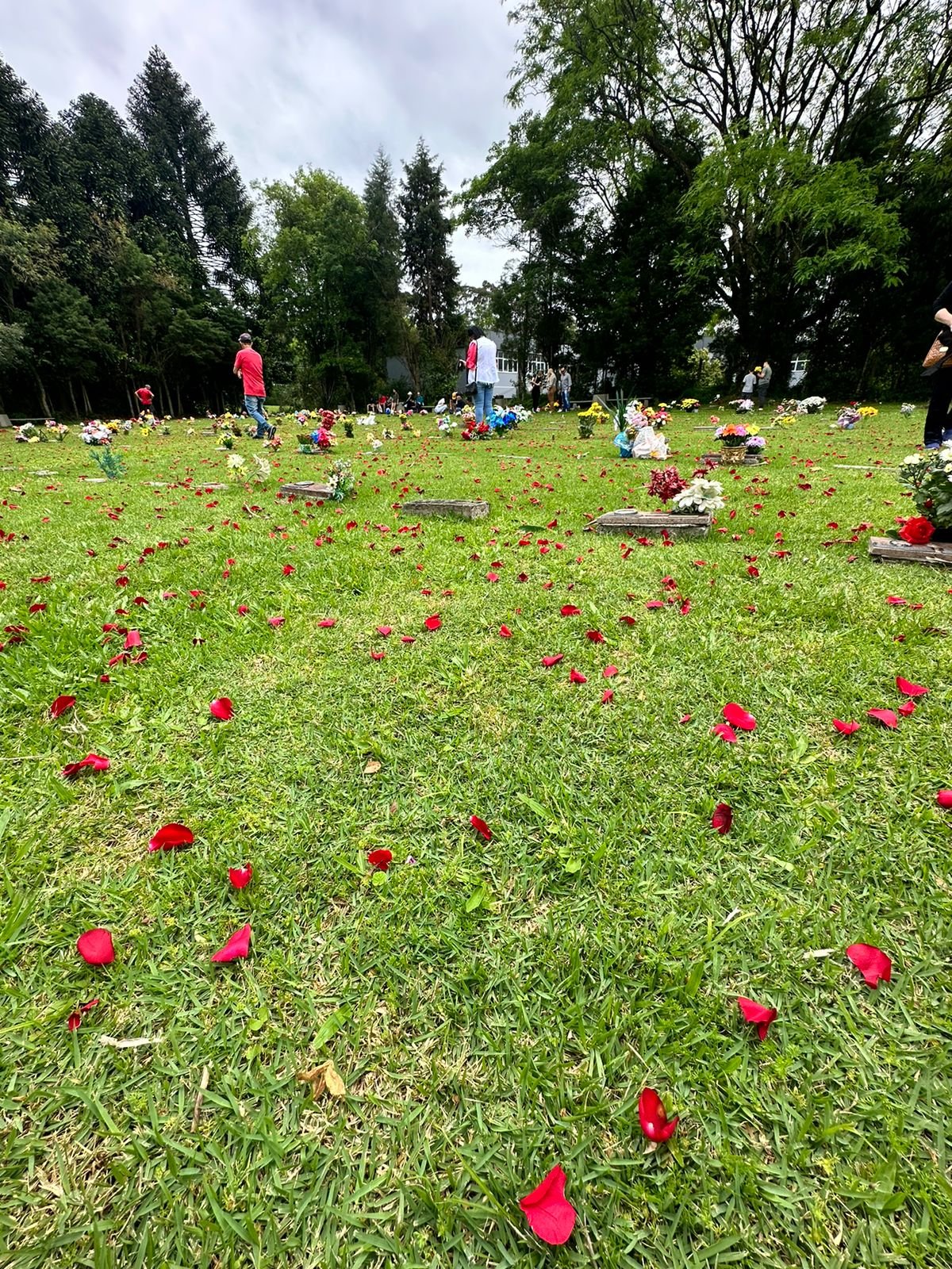 Chuva de pÃ©talas foi uma das homenagens feitas no CemitÃ©rio EcumÃªnico Cristo Rei, no Dia de Finados