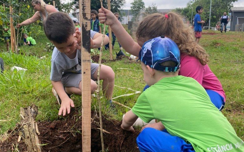 Projeto estimula o ensino ambiental às crianças da rede municipal | Jornal NH