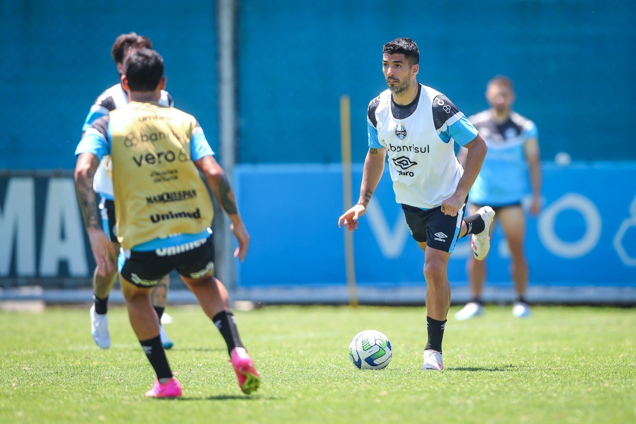 Grêmio mantém esperanças pelo título Brasileiro: "Dá pra acreditar", diz Renato Gaúcho