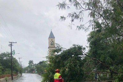 TrÃªs Coroas teve registros de queda de Ã¡rvores 