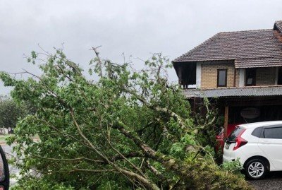TrÃªs Coroas teve registros de queda de Ã¡rvores 