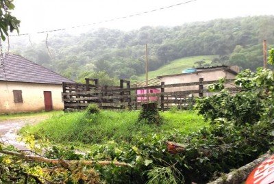 TrÃªs Coroas teve registros de queda de Ã¡rvores 