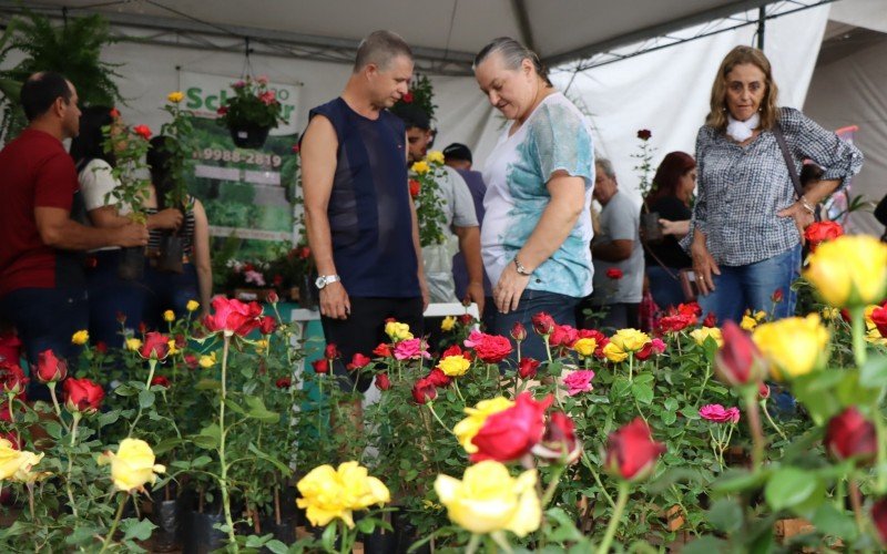 Rosas Ã  venda nÃ£o podem faltar na festa