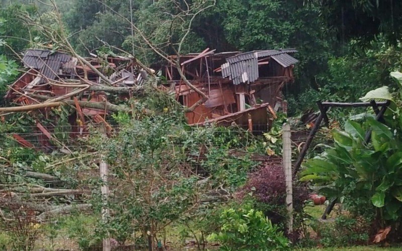 TrÃªs Coroas teve registros de queda de Ã¡rvores 