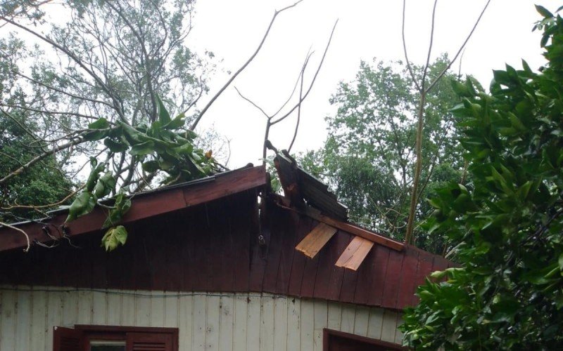 Ãrvore atingiu casa no centro de TrÃªs Coroas