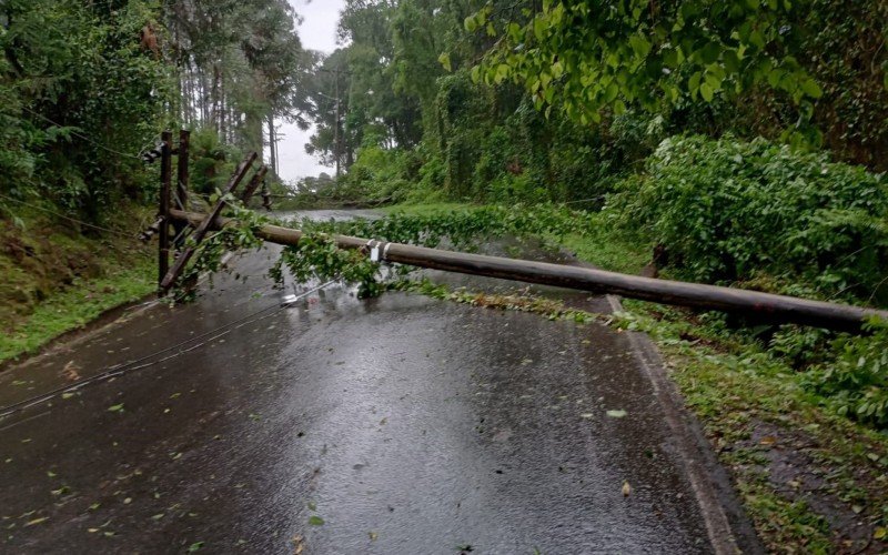 Temporais em Gramado causaram quedas de postes, árvores e destelhamentos