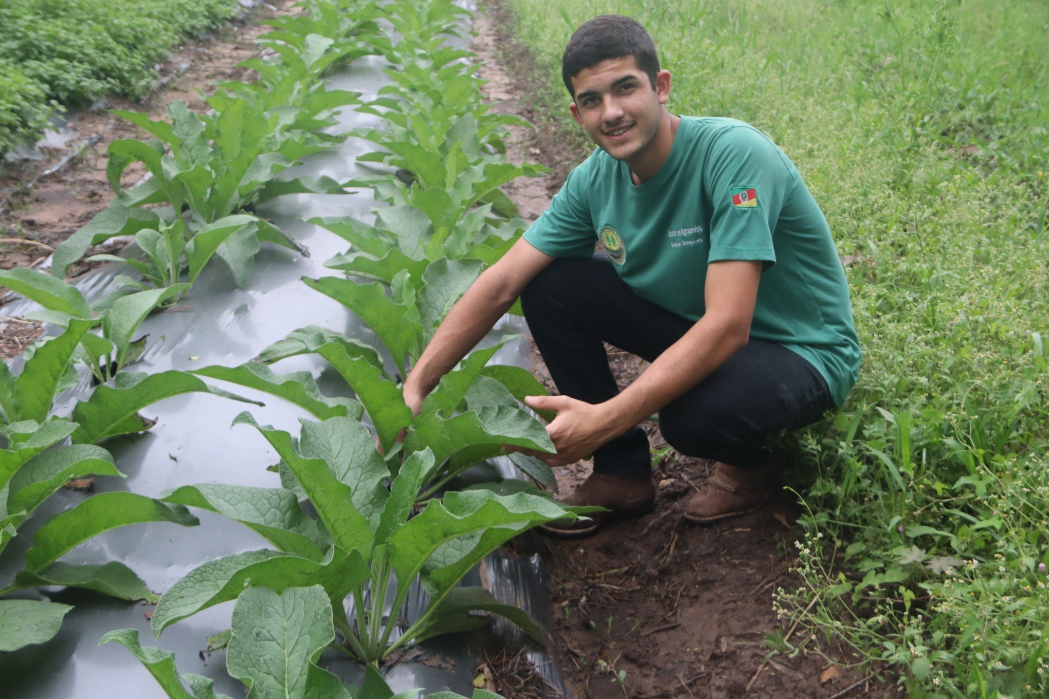 Cultivo da FarmÃ¡cia Viva - Gabriel