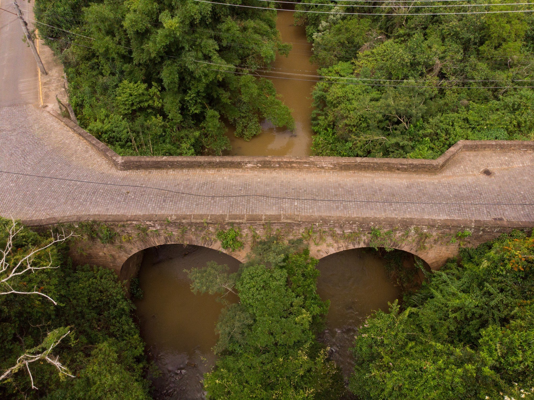 CURIOSIDADES DA IMIGRAÇÃO #100: Entenda os motivos para a região ter pontes "quase gêmeas"