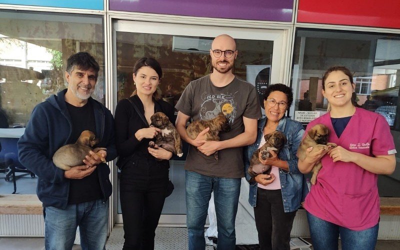 Cachorrinhos para adoção responsável