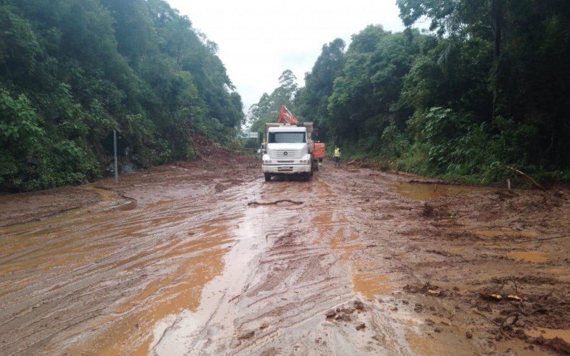 Trecho entre os km 11 e 12 da RS-446