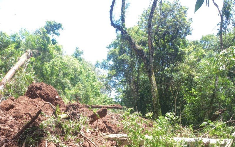 TEMPORAL: Canela tem pontos do interior bloqueados para trânsito