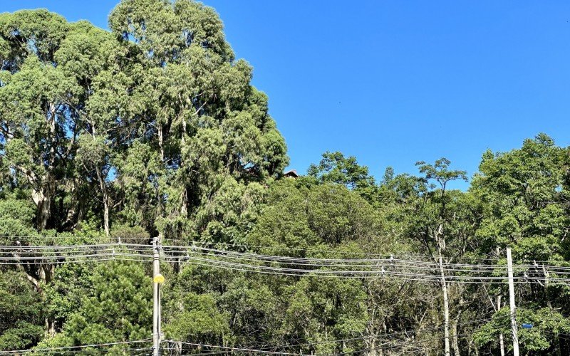 Ponta do prédio é vista da perimetral | Jornal NH