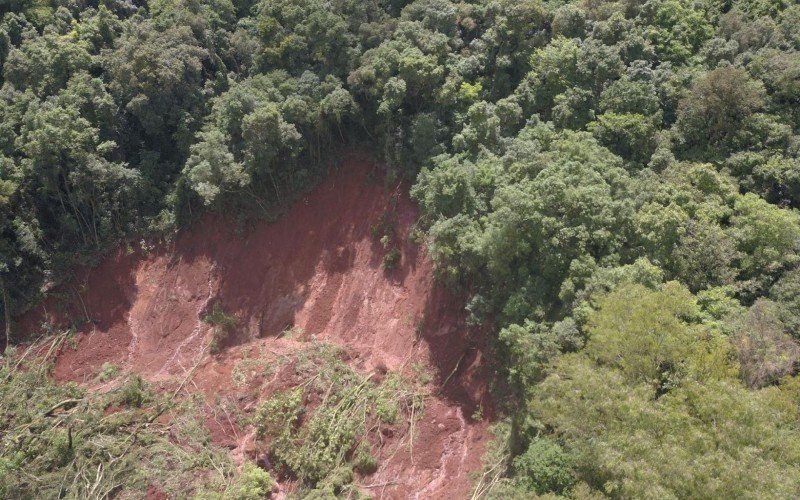 De acordo com a CSG, limpeza na RS-122 pode levar semanas para ser concluÃ­da totalmente