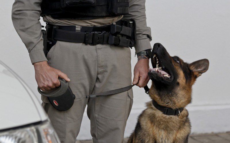 Há uso de cães farejadores em operações da Brigada Militar organizadas pelo 15º Batalhão da Polícia Militar (BPM) em Canoas