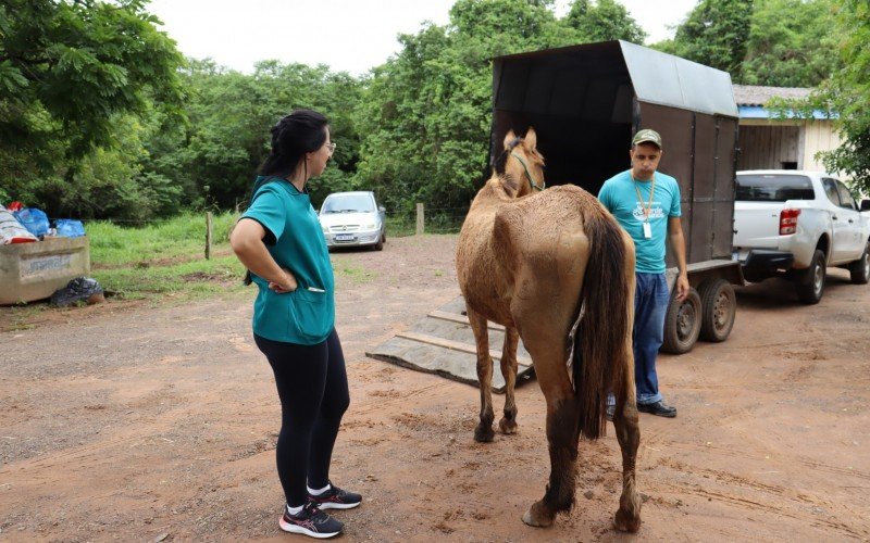 Ã‰gua resgatada ficarÃ¡ em quarentena no Cempra 