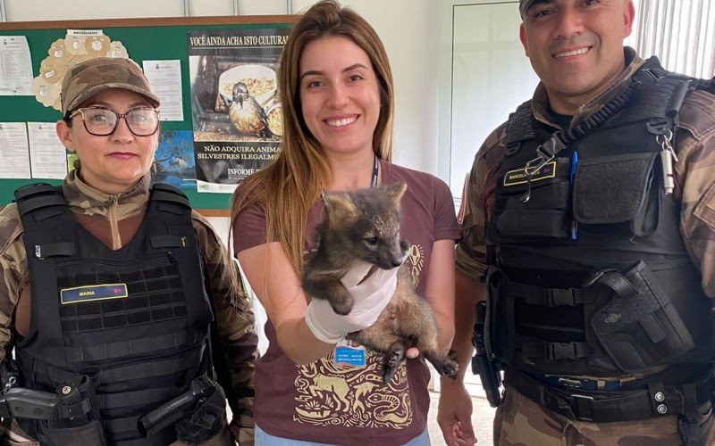 Graxaim é resgatado em Gravataí  | Jornal NH