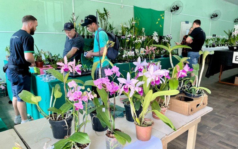 125Âª ExposiÃ§Ã£o de orquÃ­deas de SÃ£o Leopoldo 