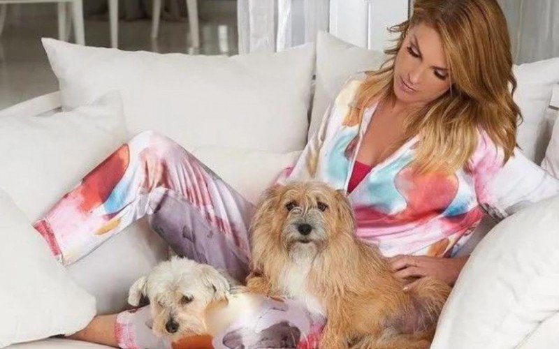 Ana Hickmann e os cachorros | Jornal NH