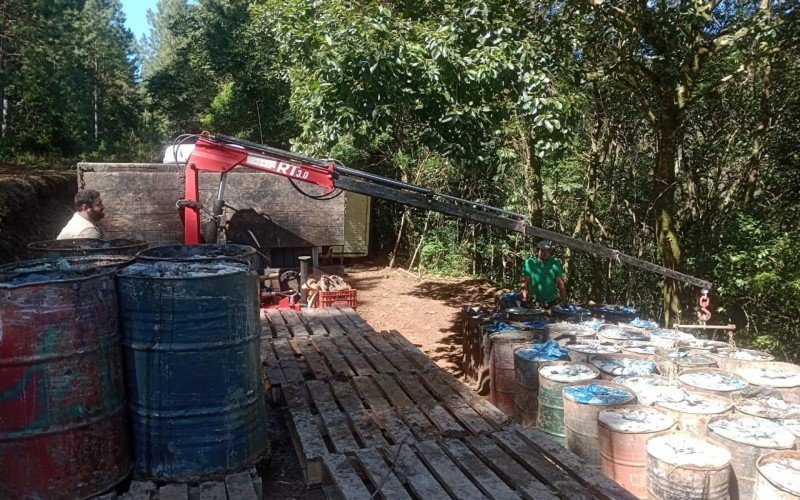 Resina é retirada da floresta e enviada em toneis à indústria | Jornal NH