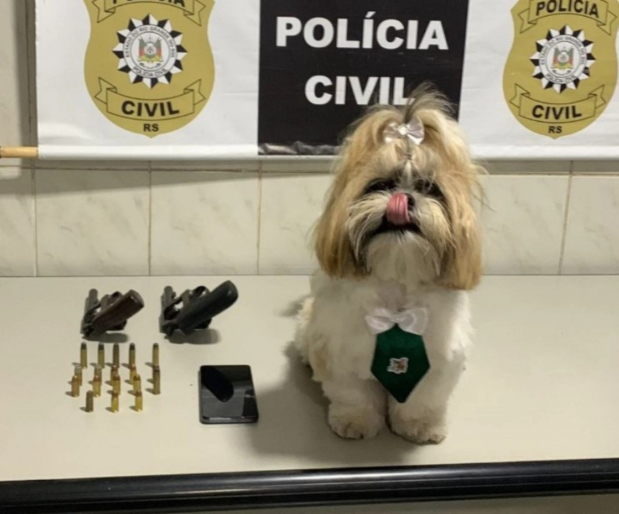 Cresce o número de pets roubados em Canoas