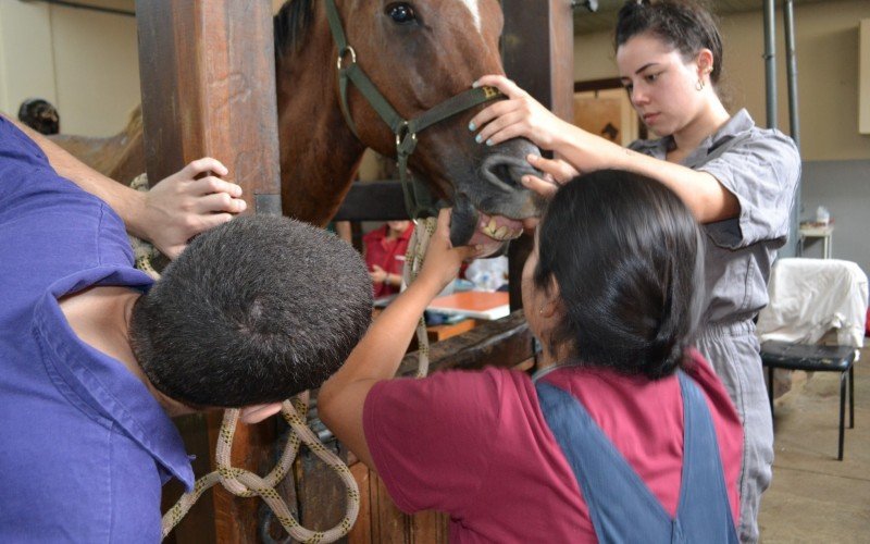 Curso de Medicina VeterinÃ¡ria da Ulbra Canoas faz 30 anos