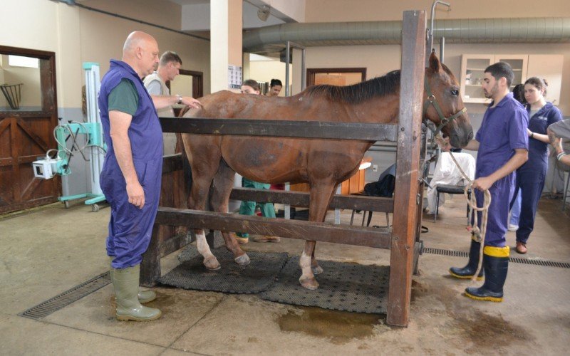 Curso de Medicina VeterinÃ¡ria da Ulbra Canoas faz 30 anos