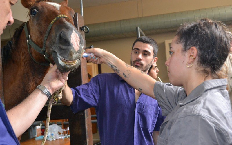 Curso de Medicina VeterinÃ¡ria da Ulbra Canoas faz 30 anos