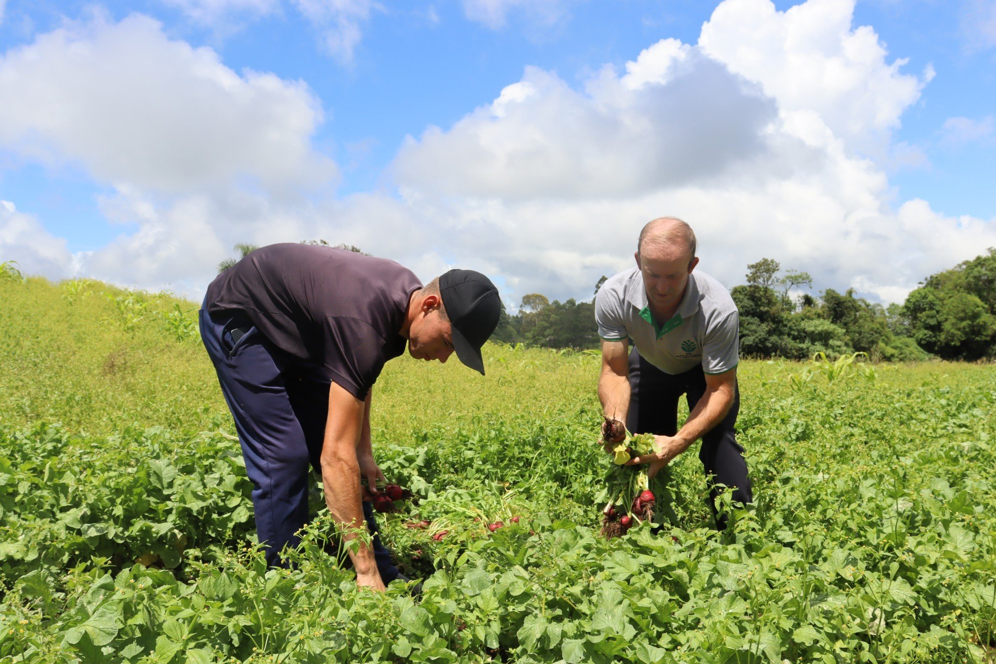 Agricultores da região semeiam esperança após ano de chuvas
