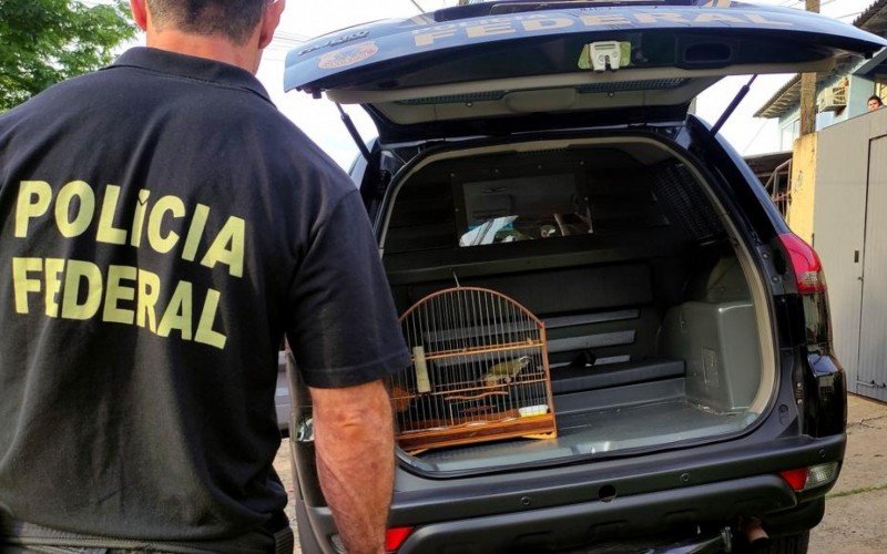 Animais silvestres sÃ£o resgatados de esquema de trÃ¡fico liderado por gaÃºcho da regiÃ£o