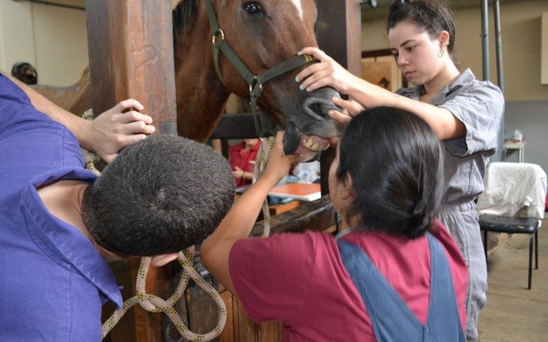 Alunos têm a oportunidade da prática profissional desde o início do curso