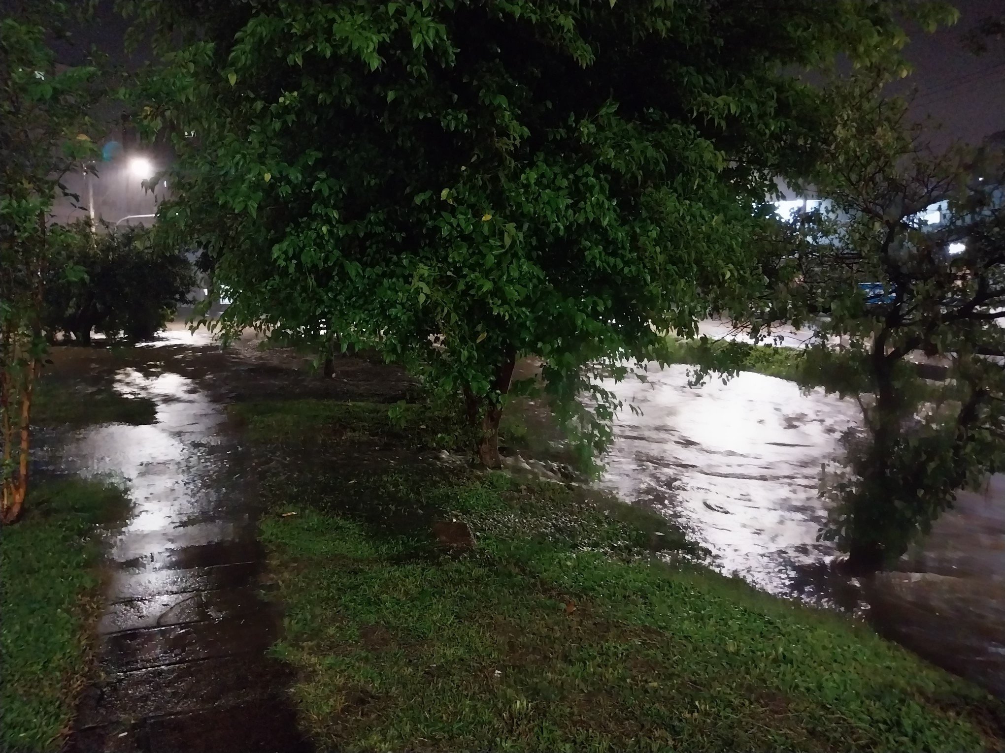 Chuva em Novo Hamburgo na noite de sexta-feira (15) causa alagamentos pela cidade e na BR-116