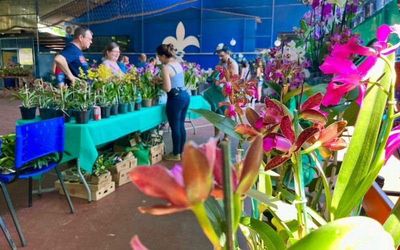 ExposiÃ§Ã£o estadual de orquÃ­deas SÃ£o Leopoldo 