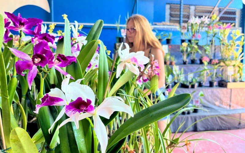 Yuki Taketa comercializou flores do orquidário da família 