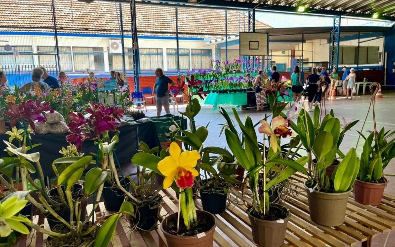 ExposiÃ§Ã£o estadual de orquÃ­deas SÃ£o Leopoldo 