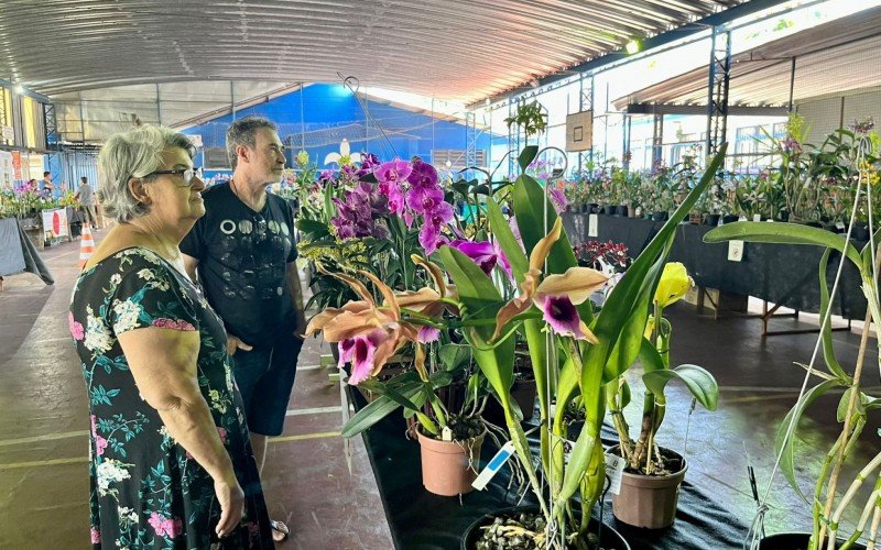 ExposiÃ§Ã£o estadual de orquÃ­deas SÃ£o Leopoldo 