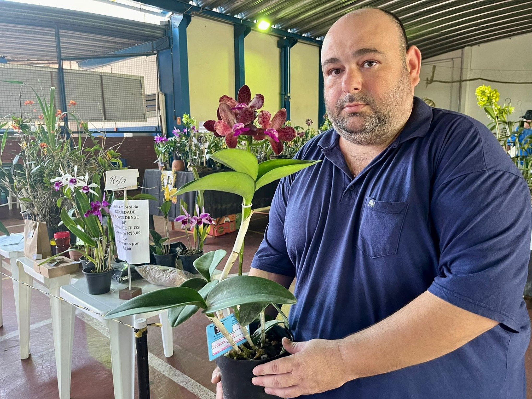 Exposição estadual reúne mais de 400 orquídeas em São Leopoldo