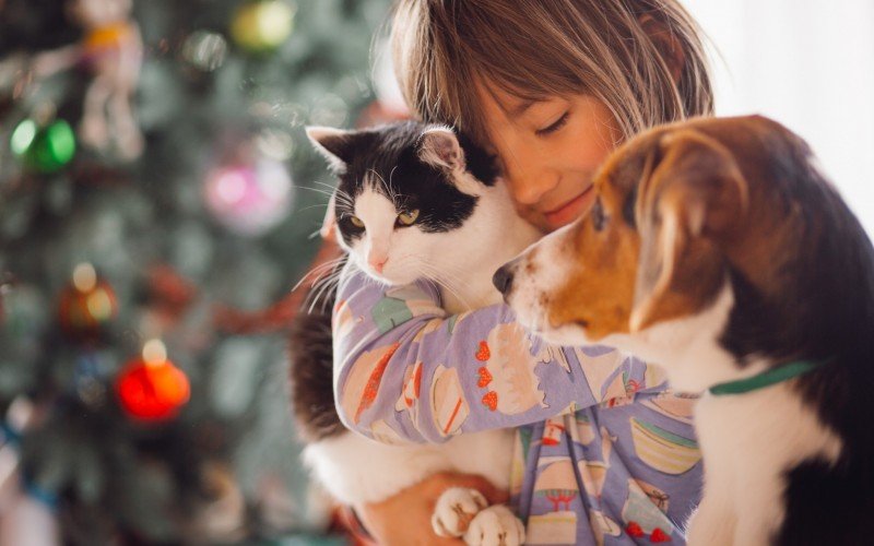 Veja quais raças de cães e gatos dominam as casas brasileiras | Jornal NH