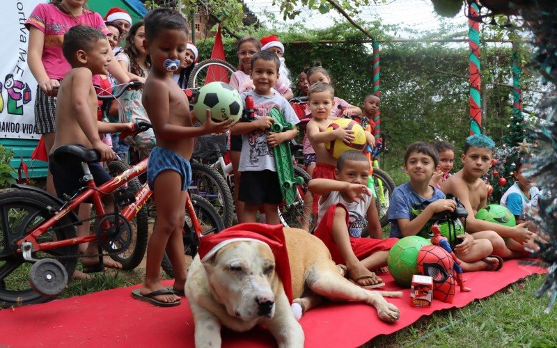 Cão Jaiminho também entrou no clima | abc+