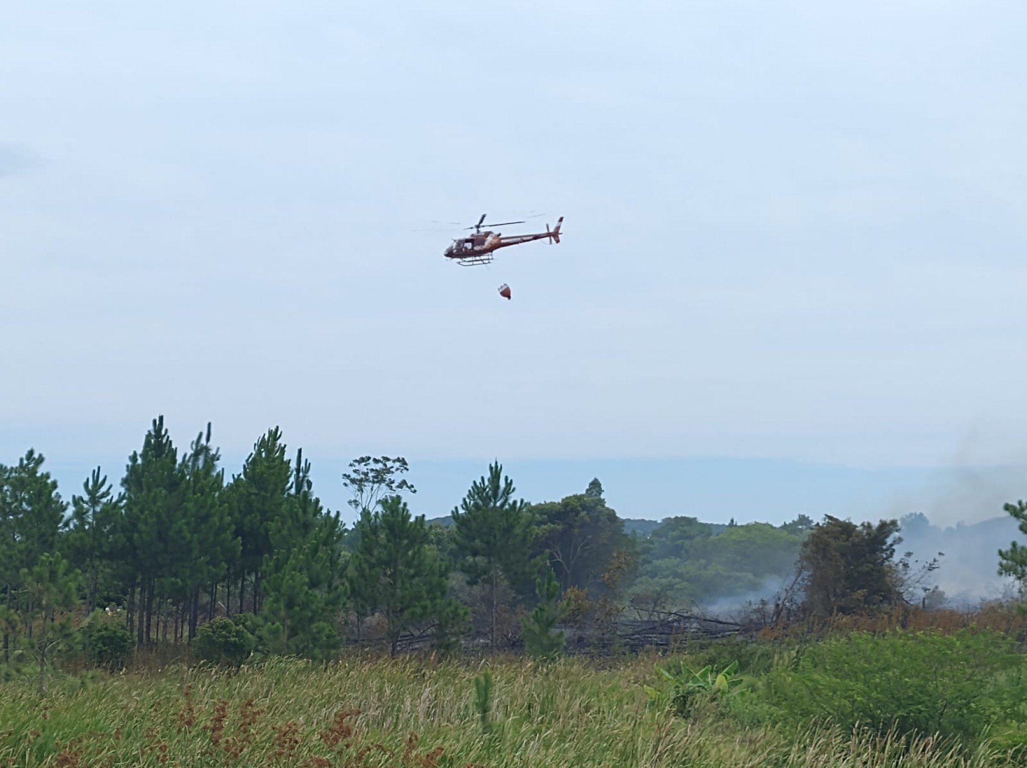 VÍDEO: Até helicópteros trabalham para combater incêndio em parque de conservação de Santa Catarina