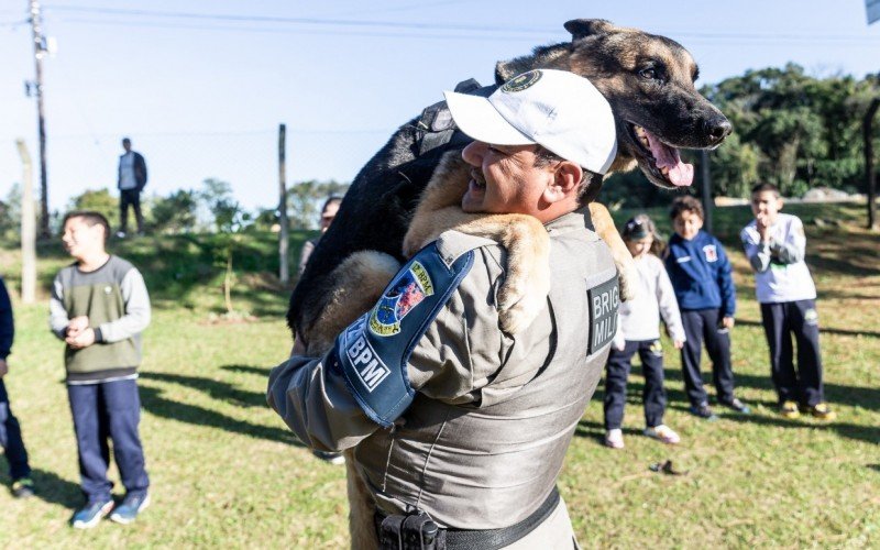 Cão policial Conan foi submetido a eutanásia após sofrer com câncer de pulmão | abc+