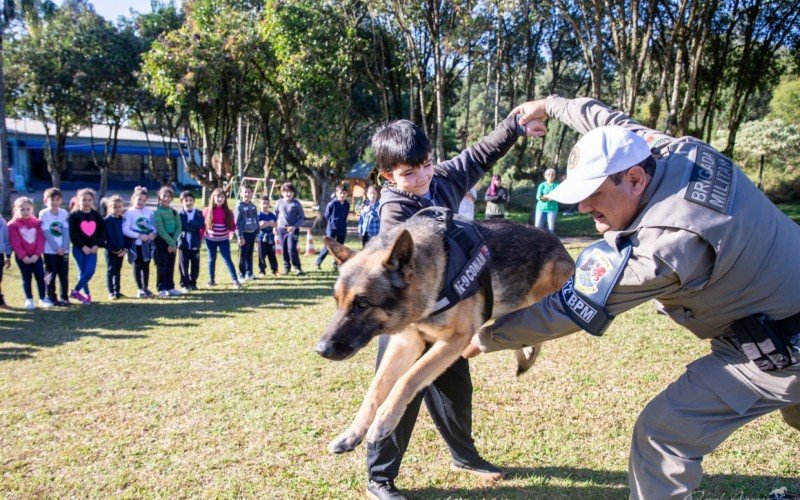 Cão policial Conan foi submetido a eutanásia após sofrer com câncer de pulmão | abc+