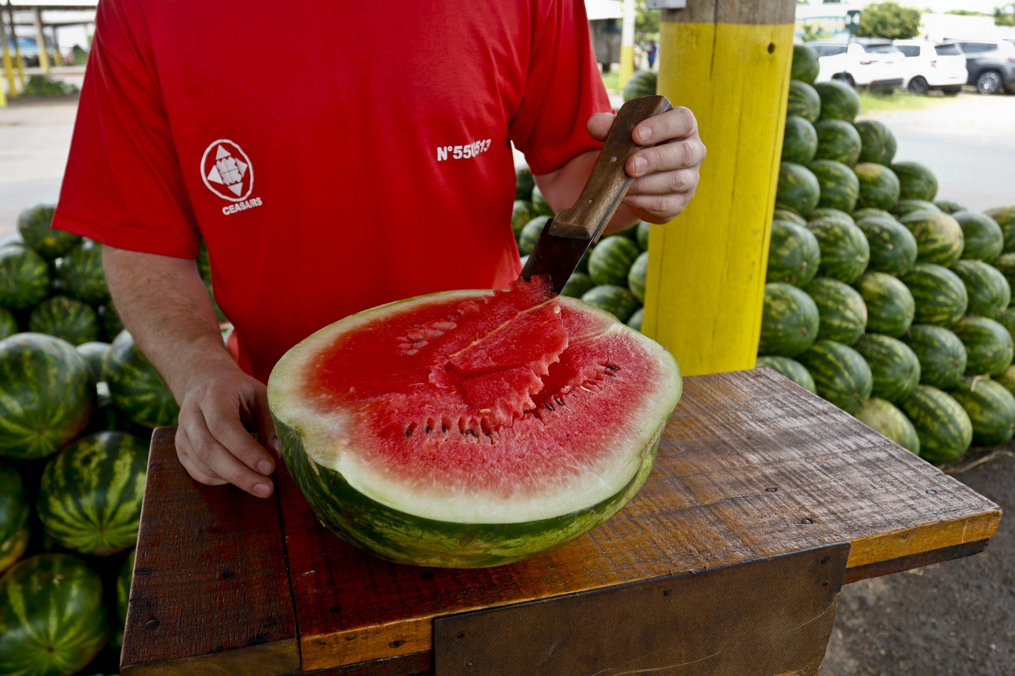 Benefícios da melancia para a saúde compensam o preço alto? Confira sete vantagens de consumir a fruta