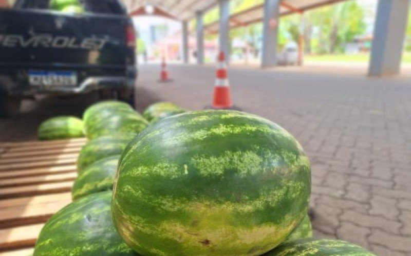 Frutas são atrações na Rua Coberta de Taquara  | abc+