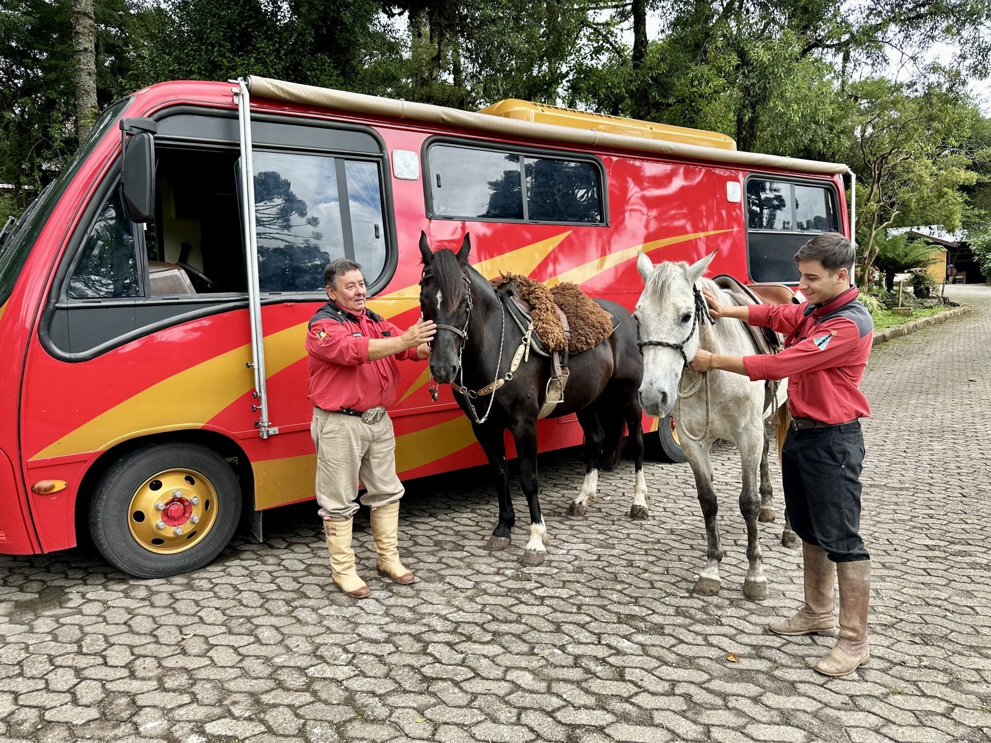 Cavalos já estão encilhados esperando pela abertura da temporada de rodeios no Estado