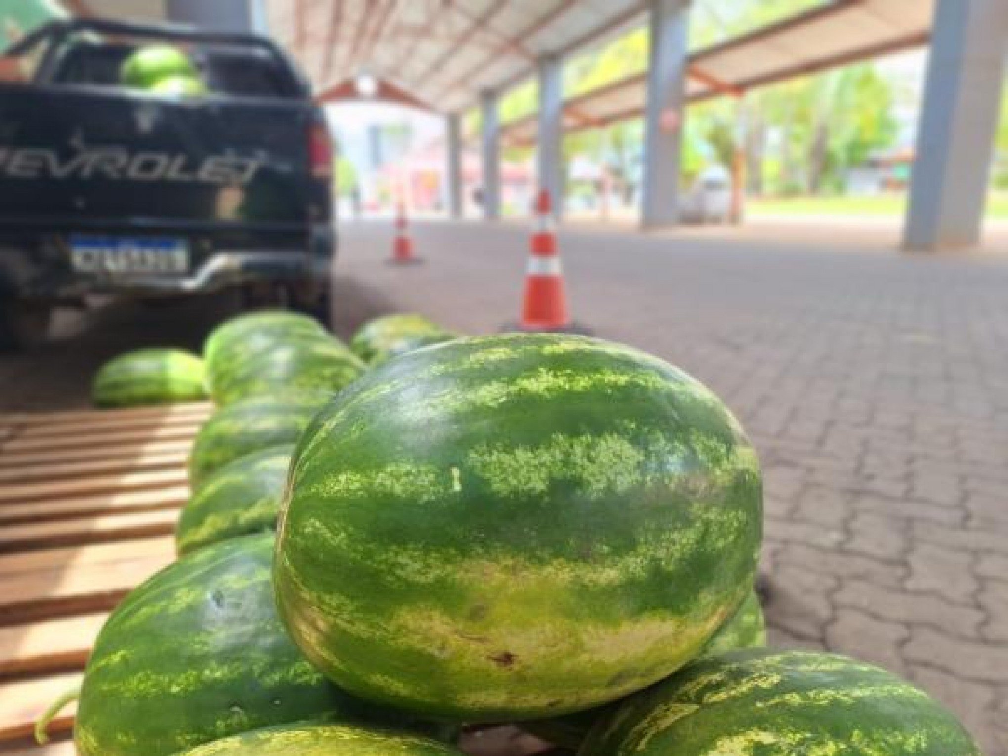 Com a promessa de preços mais atrativos, melancias começam a ser vendidas em Taquara