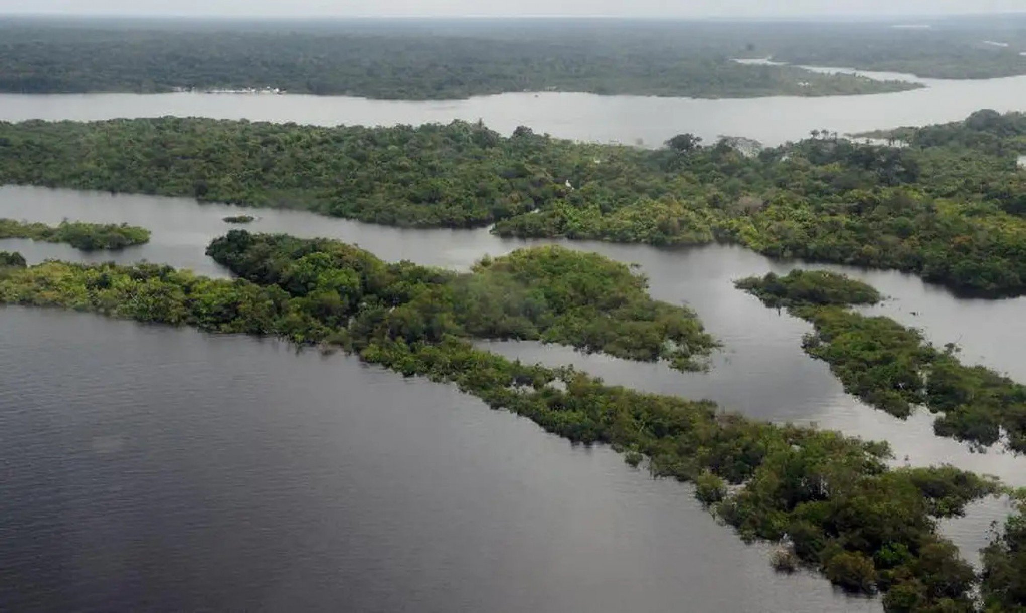 Desmatamento  da Amazônia reduz 50%, mas situação do Cerrado preocupa especialistas; veja como estão os biomas brasileiros