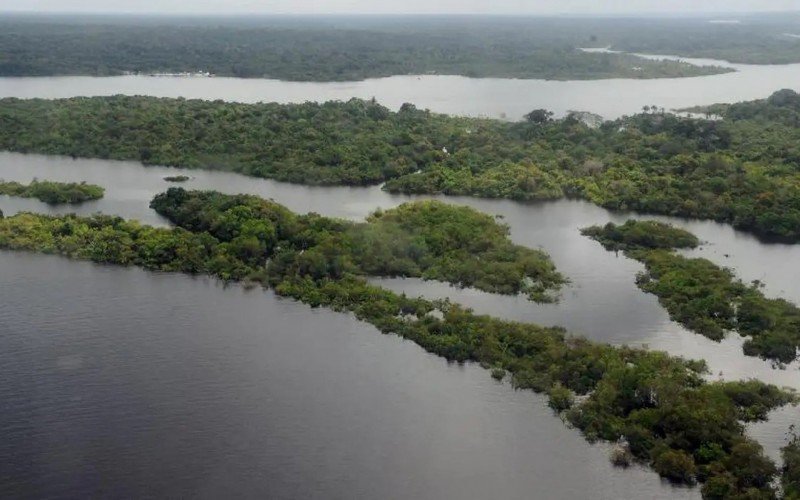 Amazônia brasileira  | abc+