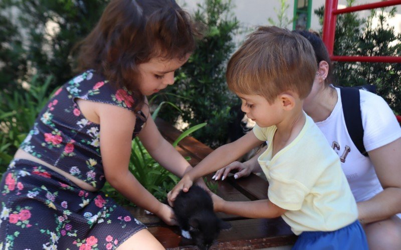 Rafaella e Henrique adotaram um gatinho | abc+