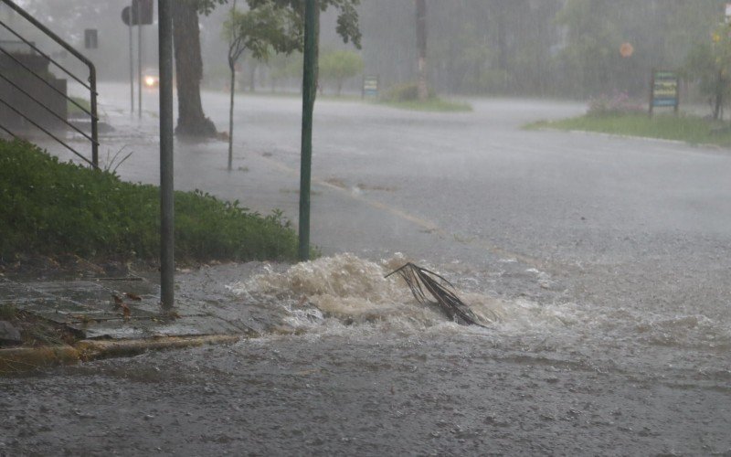 El Niño aumentou a incidência de chuva no Estado  | abc+