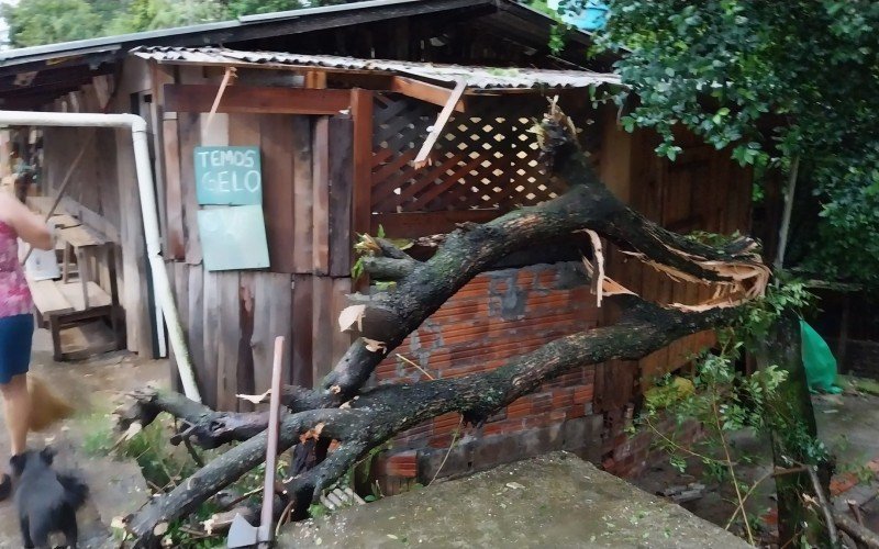 Estragos do temporal em Novo Hamburgo